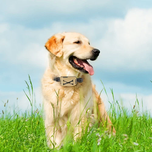 Elektrozaun für Hunde 2 in 1 Kabellos Hundezaun Halsband Haustier Eindämmungssystem - Bild 76 von 77