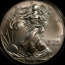 USA Dollar $1 2012 Ounce 31g .999 Fine SILVER Eagle (T24)