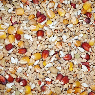 Beyers Premium Enzymix Relax 25kg