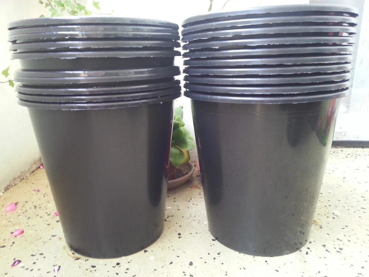 Blumentopf 10l online kaufen | eBay.de