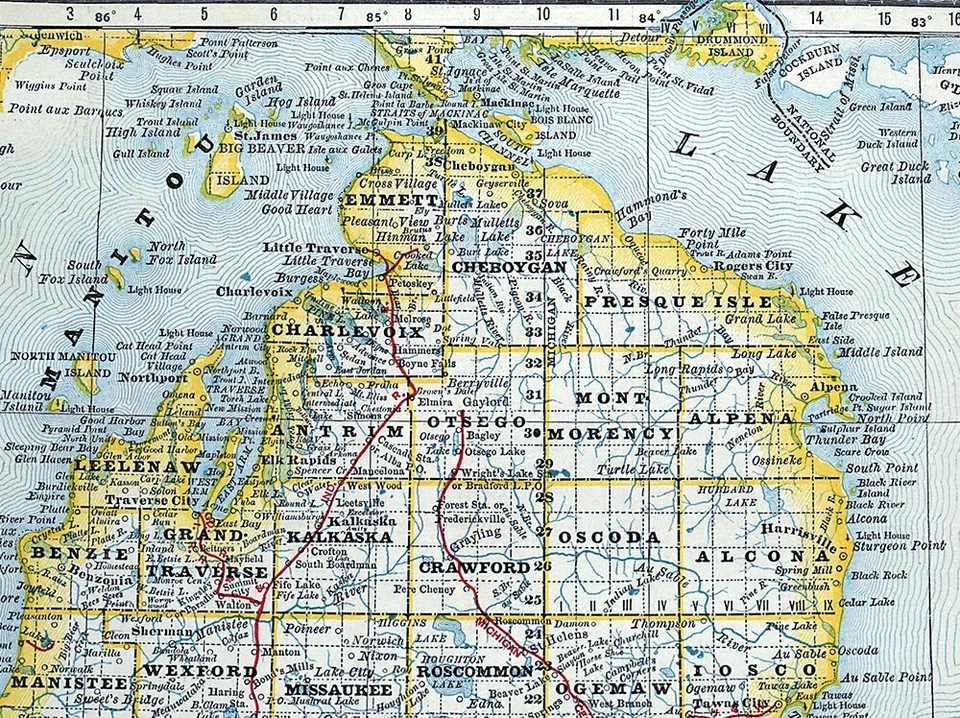 Mapa ferroviario Rand McNally 1881 Michigan Detroit Lansing Ann Arbor Kalamazoo MI Foto 2 de 4