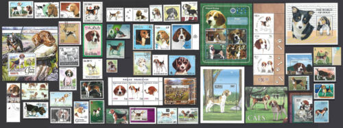 [beag] Frame it - Dog breed  BEAGLE - 47 Diff Stamps & 5 Souvenir Sheets - VF - Zdjęcie 1 z 4