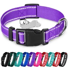 Reflective Dog Collar Violet Small, Basic Nylon Pet Quick Release Buckle Puppy