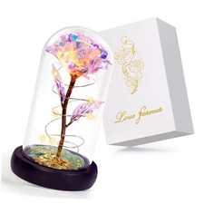 Childom Birthday Gifts for Women,Christmas Rose Gifts for Rainbow