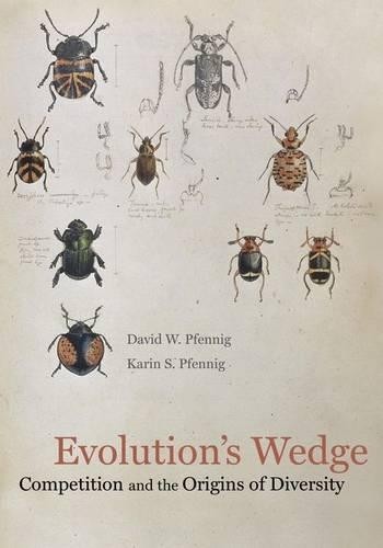 David Pfennig Karin Pfennig Evolution's Wedge (Copertina rigida)