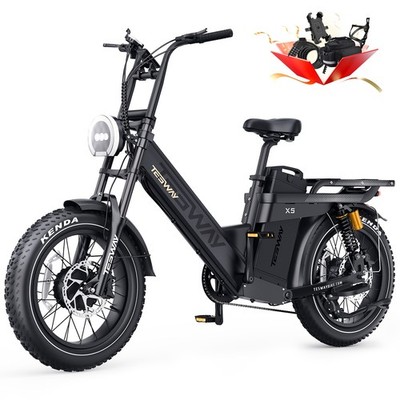 TESWAY X5 AWD Elektrofahrrad 52V 60Ah 200N.m Cargo Step-Thru EBike 300KM Reichwe