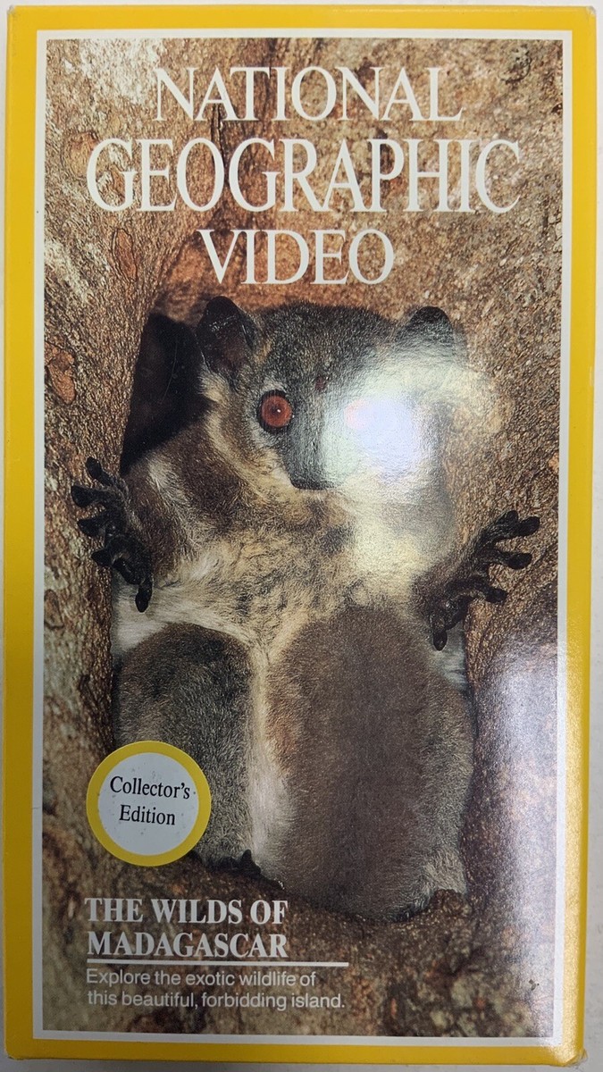 その他 Nat'l Geo: Africa - Wilds of Madagascar [VHS] Nat'l Geo: Africa - Wilds of Madagascar [VHS] 【公式通販】