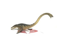  Safari Ltd DINOSAUR Elasmosaurus The Carnegi...