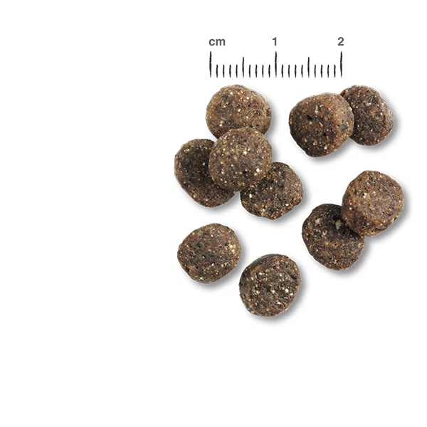 BELCANDO Finest GF Salmon 1 kg Hundefutter Trockenfutter Hund Getreidefrei Lachs - Bild 2 von 3