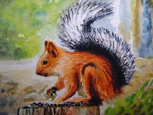 Watercolor Painting Squirrel Nuts Wildlife Nature ACEO Art 