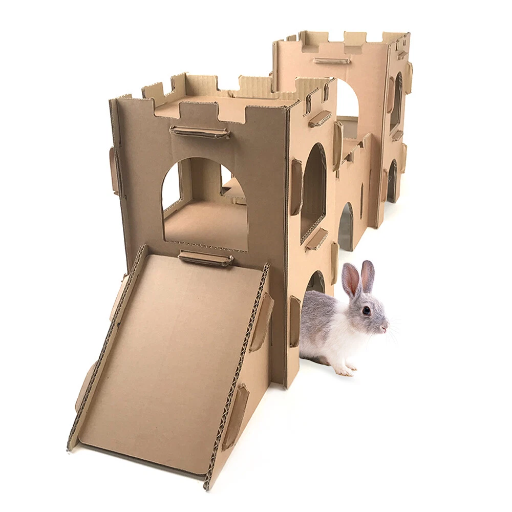 Hamster rabbit sales