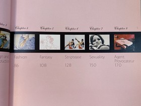 Agent Provocateur : A Celebration of Femininity by Rees, Corre Carlton Books pb