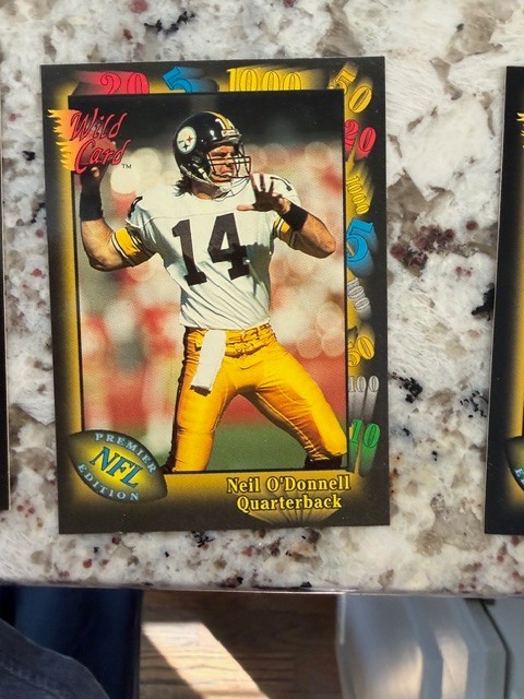 1991 WILD CARD PREMIER EDITION NFL CARD PITTSBURGH STEELERS NEIL O'DONNELL #125