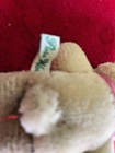 Bild 10 von 12