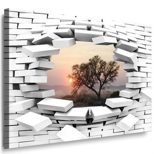 Bild Loch In Wand 3d Illusion Baum Sonne Leinwandbild Landschaft Wandbild 87 Ebay