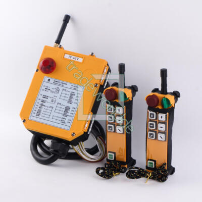 2 Emitter+1 Empfänger Flaschenzug Crane Radio Kabellos Fernbedienung F24-6D 18 ~