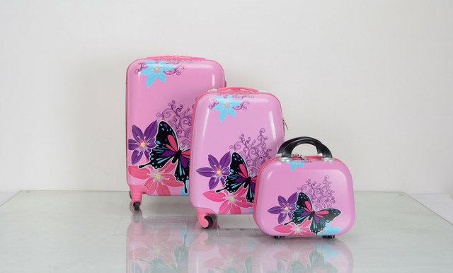 16 piece luggage set