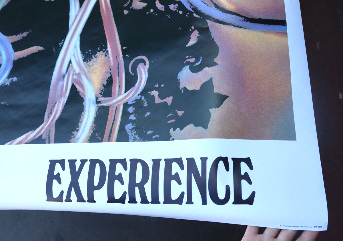 1999 PYRAMID JIMI HENDRIX EXPERIENCE WIRE HAIR MEDUSA CONCERT