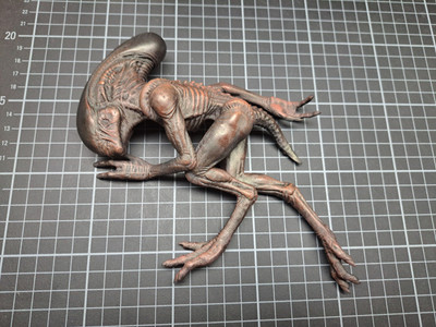 Alien Xenomorph Baby