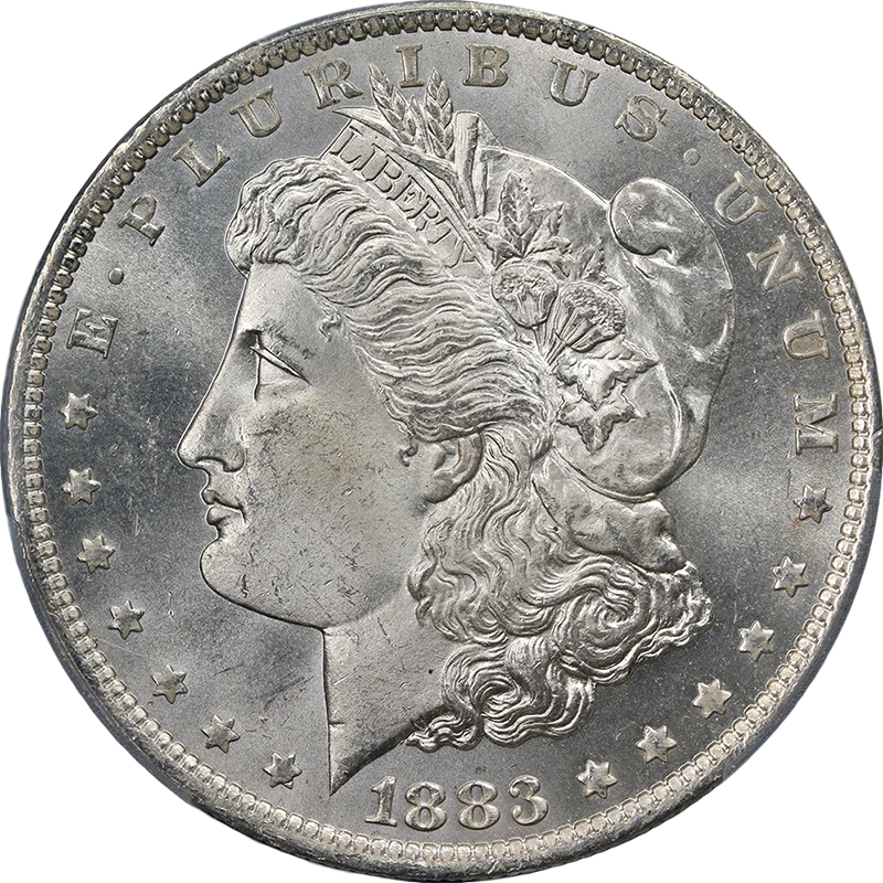 1883 Year Grade MS 65 Morgan Dollars (1878-1921) for sale | eBay