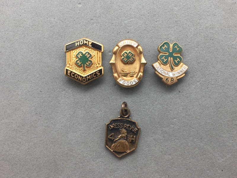 4H Pin & Charm Lot 4 Home Economics Dairy Foods National Winner 1968 Dress Revue