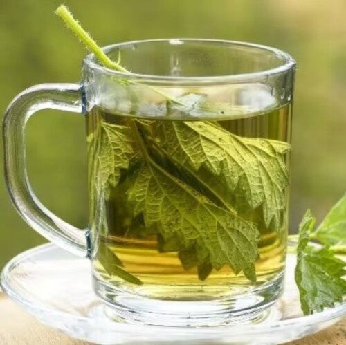 Té orgánico de hojas de ortiga - Imagen 5 de 6