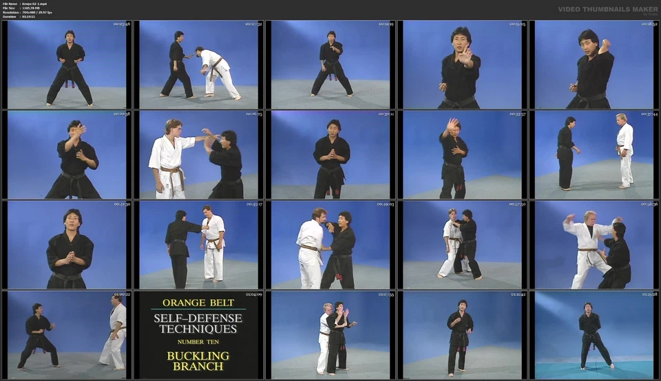 Home Study Course - American Kenpo Karate (DVDs + Certificates) - Image 4 of 4