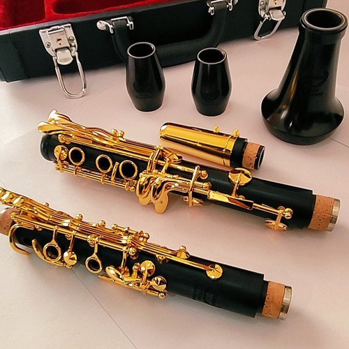 B-flat Clarinet Ebony Material 18 Keys Gold-plated Clarinet Exquisite Instrument - Picture 2 of 17