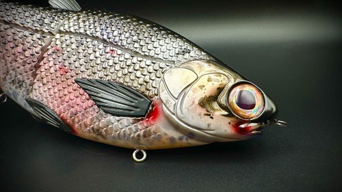 HINKLE SHAD CLONE CUSTOM PAINTED - 🚨 NEWEST GIZZARD SHAD 9" GLIDEBAIT 🚨 - Picture 3 of 6