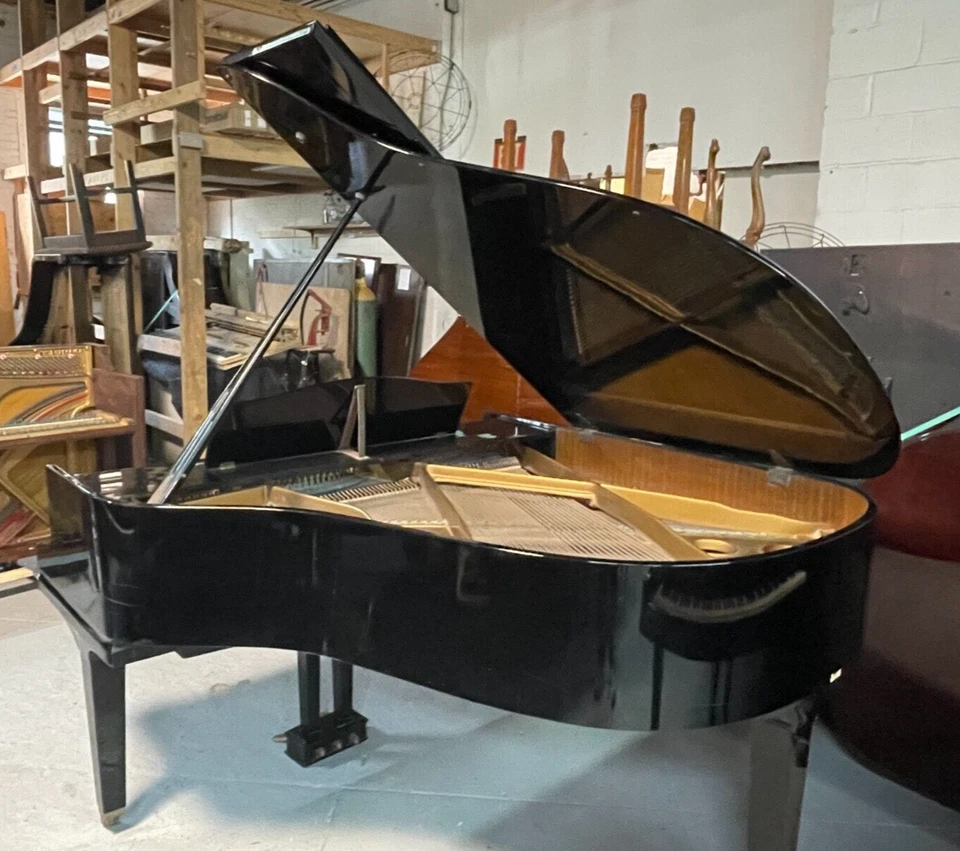 MAGNIFICENT AUGUST FORSTER 型号 170 大皮亚诺 EBONY 5'8 — 第 2/4 张图片