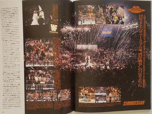 Weekly Pro Wrestling Separate Issue Americana June 2003 - Foto 23 di 24