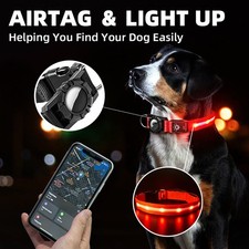 GPS Pet Collar