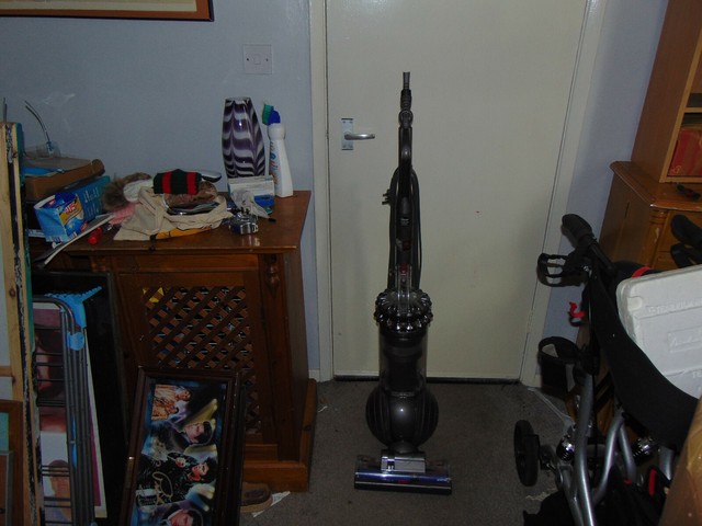 Dyson DC75 Cinetic Big Ball Animal 