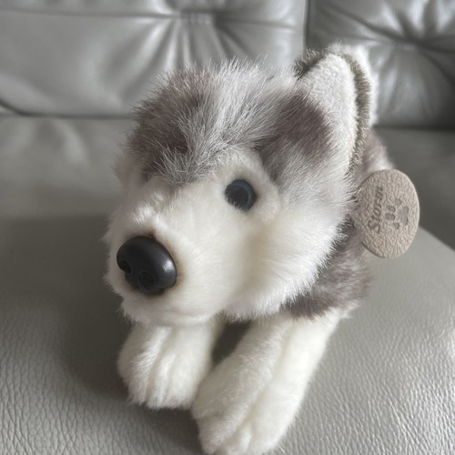STORM Siberian Husky Dog by KEEL TOYS 9” Long With Blue Collar grey white - Picture 2 of 8