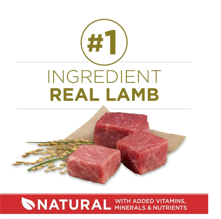 Comida seca para perros Purina ONE fórmula de cordero y arroz - 8 lb. Bolso Foto 3 de 4