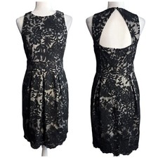 Eliza J Lace Sheath Dress Open Back Round Neck Black Cream Women's Size 6