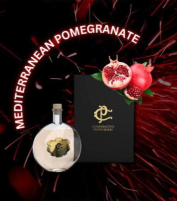 Chogan Raumduft Diffuser Cooperativa Profumieri Mediterranean Pomegranate 100ml.