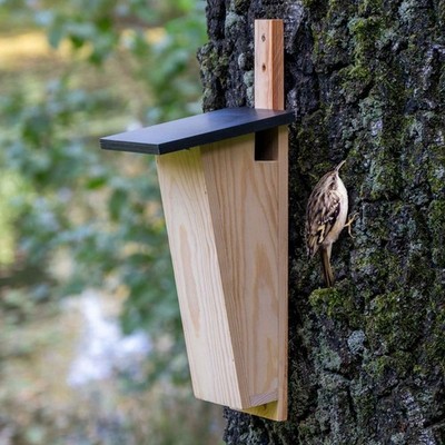 Spezial Nistkasten für Baumläufer Vogelbrutkasten zum Aufhängen Holz Nisthöhle