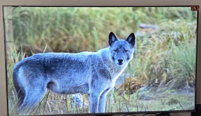 TCL 55'' Q6 4K UHD HDR QLED Smart TV with Google TV - New 2024 Model