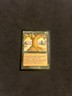 Moment's Peace [Magic Online Theme Deck] Magic MTG Cards NM/LP