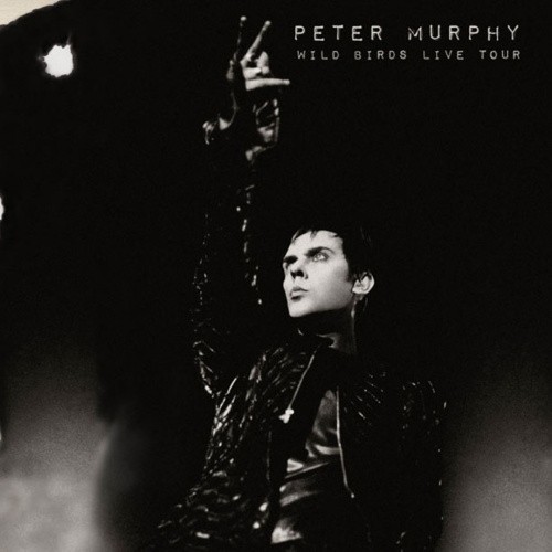 Wild Birds Live Tour by Peter Murphy [Audio CD]