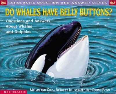 Do Whales Have Belly Buttons? : Questions and Answers about Whale