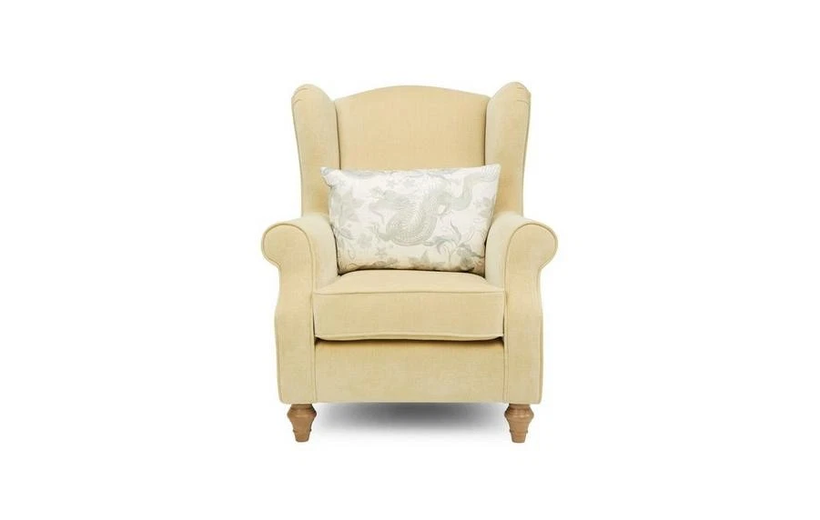 DFS Chepstow Honey Chenille Self Piped Wing Chair RRP £629