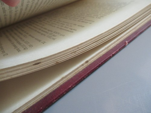 Guide To Systematic Readings Baldwin Encyclopedia Britannica 1895 Werner Co. C - Picture 23 of 24