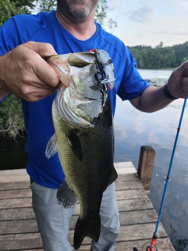 SLICKLINE Floating Jointed Rattling Mouse Swimbait Fishing Lure Bass 5 COLORS - Picture 19 of 27