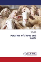 Parasites Of Sheep And Goats Omar Amer