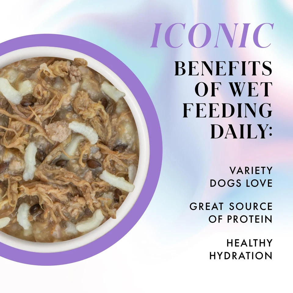 Comida húmeda natural para perros Paris Hilton Pamper Like Paris, carne de res y arroz, 2,75 oz cú... Foto 3 de 4