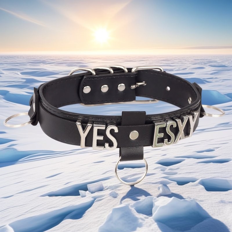 Custom Metal BDSM Choker Necklace Chain Leash Gothic Letter Collar Gift-image