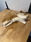 Bild 4 von 7