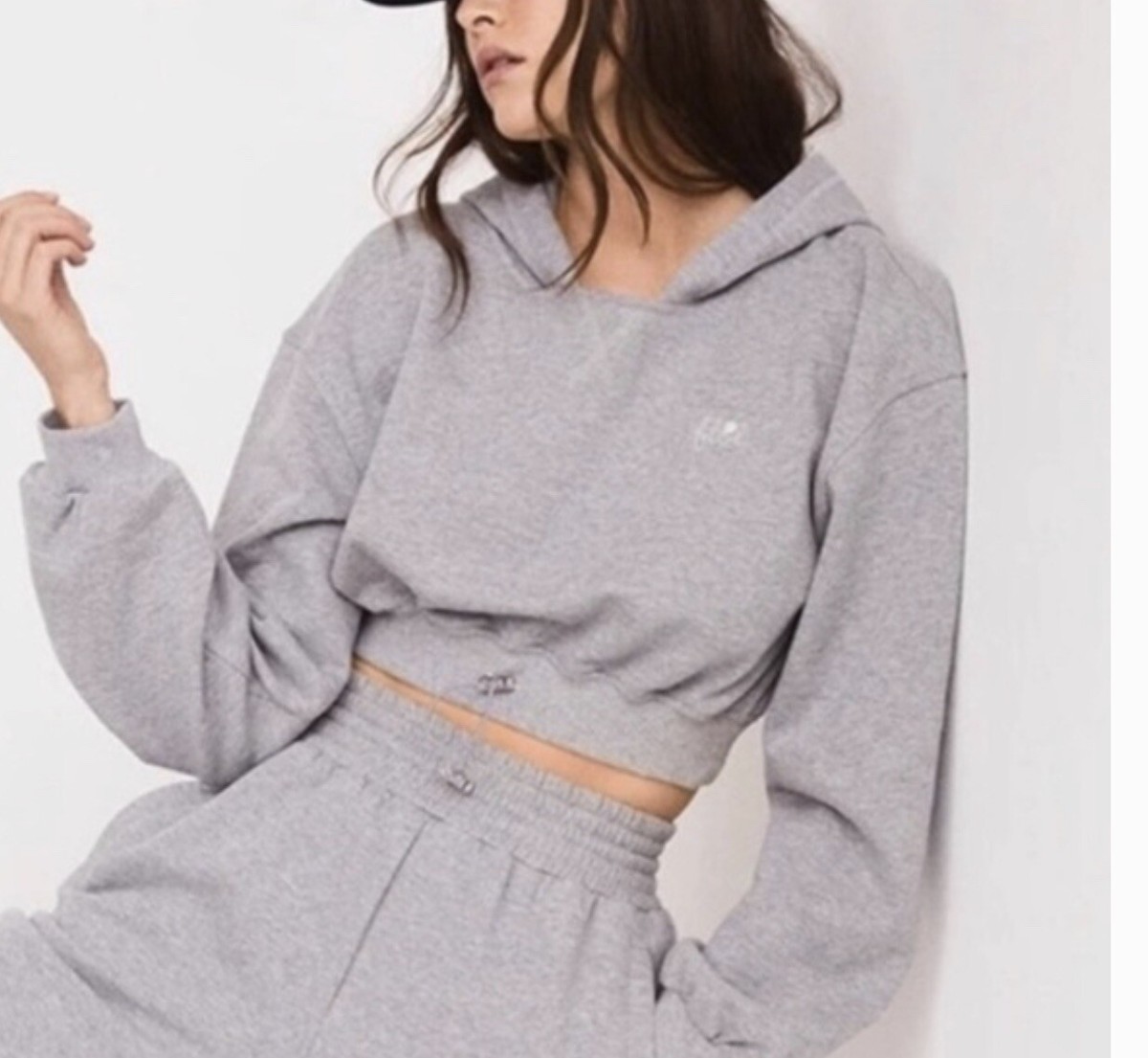 For Love and Lemons Josie Gray Hoody Crop Hoodie Sweatshirt XS NEW